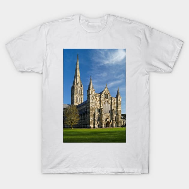 Salisbury Cathedral T-Shirt by galpinimages